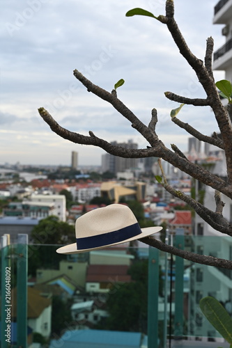 Fotografie A Panama hat left hanging on the branches of a frangipani tree on the rooftop of