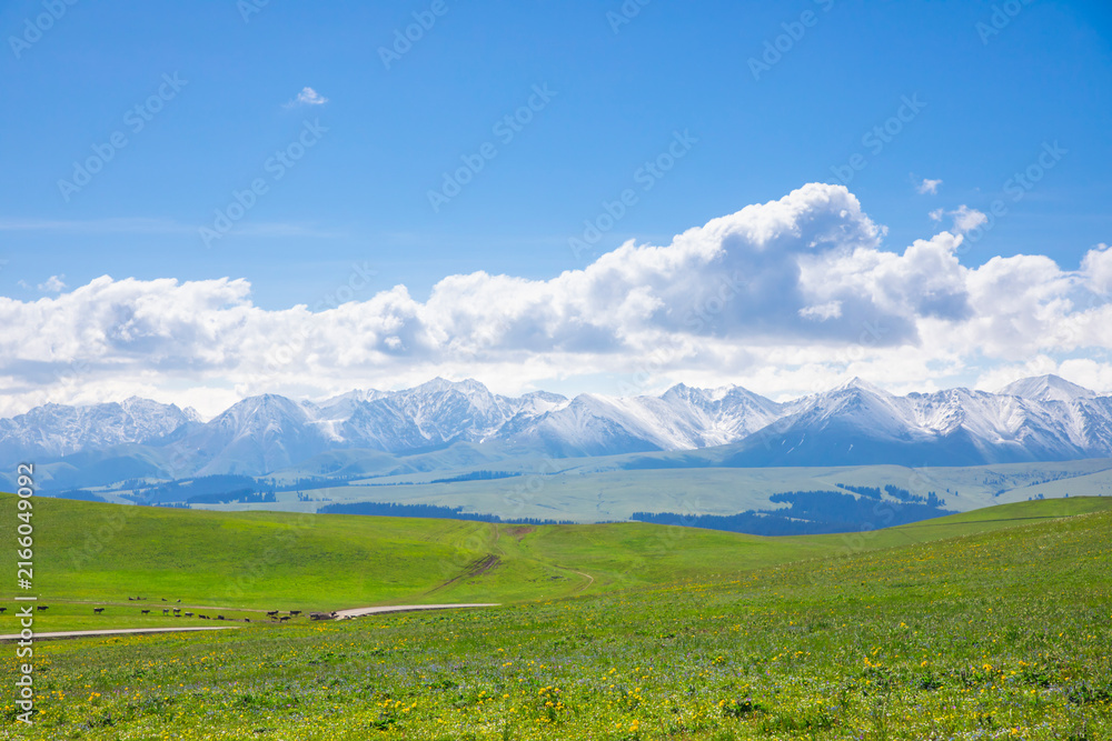 Fototapeta premium Vast Green Meadows and Snowy Peaks at Kalajun Grassland, Xinjiang, 2022