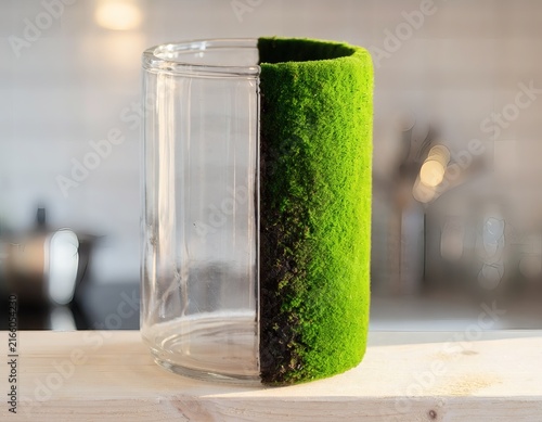 Single Object Split Vertically into Clear Glass and Moss-Covered Soil, Symbolizing Contrast Between Nature and Artificiality