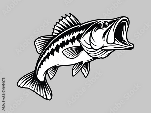 Bass Fish vector