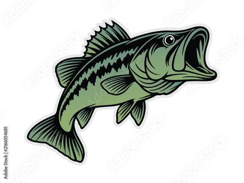 Bass Fish vector