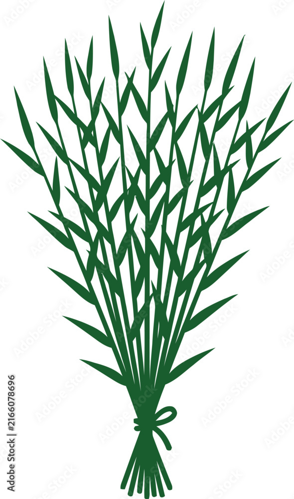 Obraz premium Tied Wild Grass Bouquet Vector with Meadow Foliage Bamboo Leaves Twigs and Green Botanical Sheaf Illustration