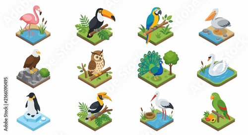 Colorful cartoon birds and animals in natural habitats.