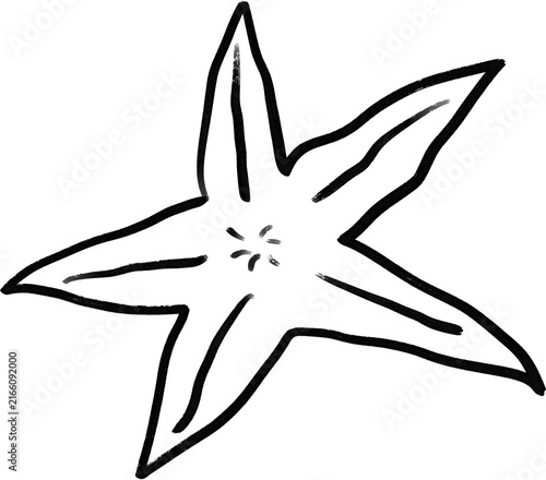 starfish
