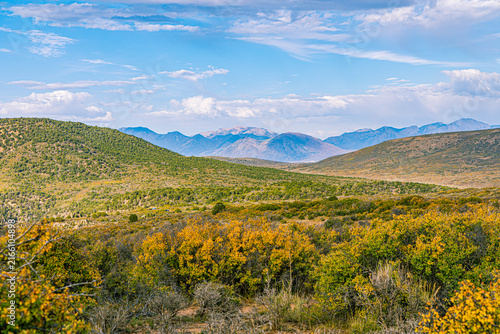 Canvas Print Golden autumn shrubs cover rolling hills with distant mountains near Black Canyon National Park