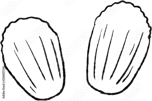 Madeleine Pastry