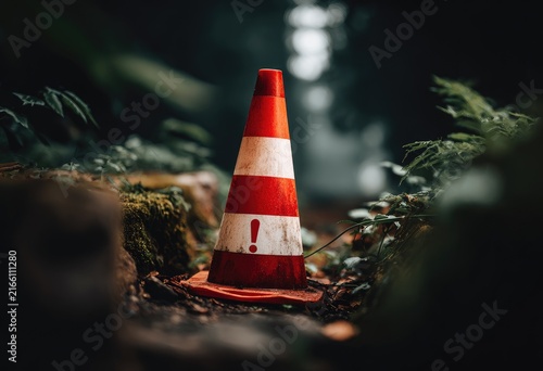 A red and white traffic cone stands on a forest path