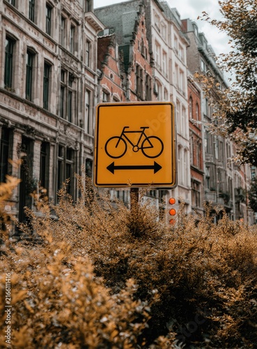 Yellow bicycle sign amidst autumnal foliage and buildings