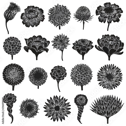 set of black and white flowers