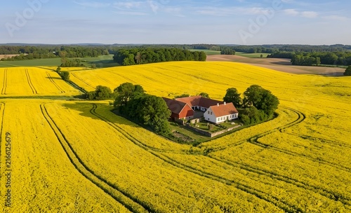 Obraz na płótnie The Yellow Haven