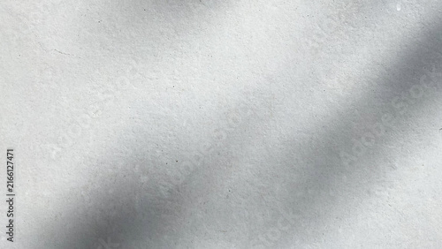 Diagonal soft blurred leaf shadow pattern on grey texture