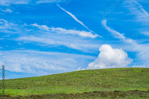 Tapety artystyczne 丘と青空