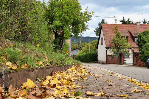 Leaves on a sidewalk in a German village