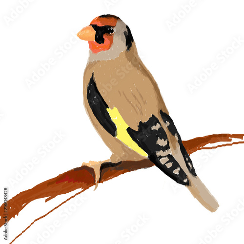 Watercolor illustration of a stylized European goldfinch perched on a branch.