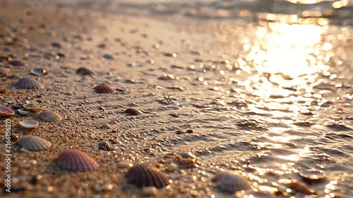 Fine sand ripples pattern on beach shore with small seashells, sand texture.