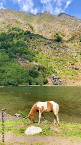 Wild Pony Grazing by Mountain Lake, Nature and Freedom Concept, vertical footage