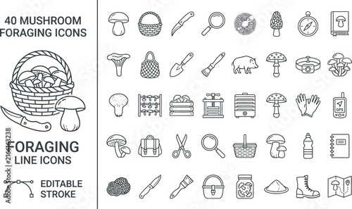 Foraging Mushroom Hunting Line Icons Set