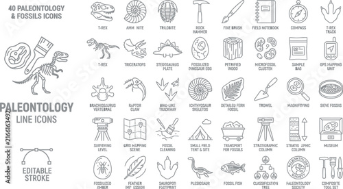 Paleontology Fossils and Dinosaur Icons Set