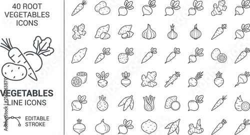 Root Vegetables Line Icon Set