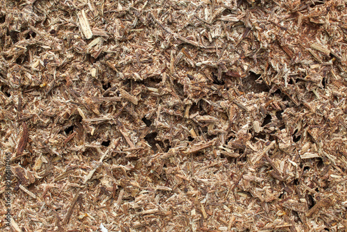 Natural wood particle board surface background texture of dense wood chips