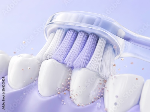 Purple Toothbrush Brushing Front Teeth