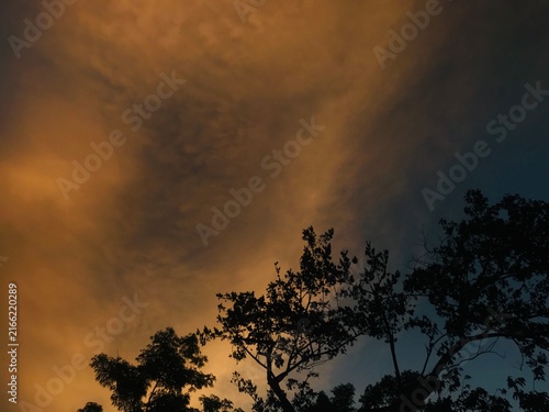 Photography storm clouds over the forest