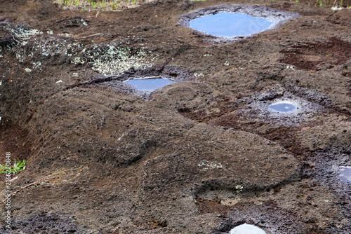 Petroglyphs carved into the lava at the cult site Ahu Tongariki on Easter Island-Rapa Nui, Chile, South America 