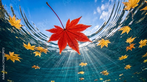 Naklejka red maple leaves
