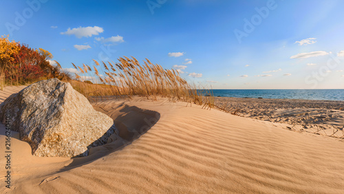 autumn in the sea