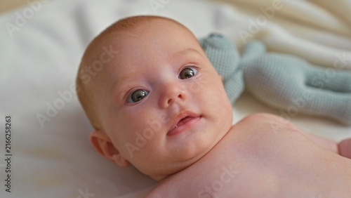 Foto Baby newborn bare chest gazing upward with drool on lip and knitted toy nearby in studio; calm curiosity