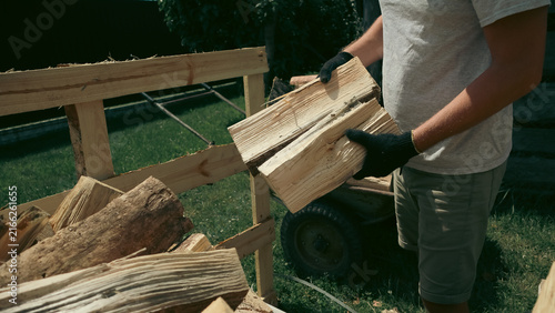Obraz na plátně Man wearing protective gloves stacking split wooden logs onto rack preparing fir