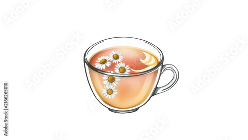 Cup of chamomile herbal tea illustration