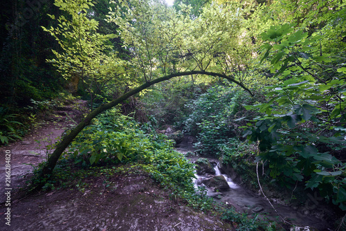 Parco Nazionale della Maiella e le misteriose Gole del Fiume Alento - Serramonacesca (PE) - Abruzzo