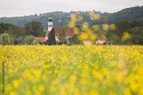 Litle church in Dresden with a flower field in foreground