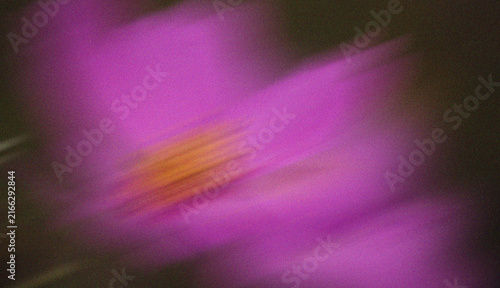 Abstract Blurred Purple Flower with Vibrant Magenta Motion and Dreamy Artistic Atmosphere