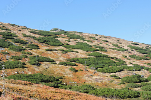 Chairlift over a subalpine zone slope with dwarf pine bushes in September, Tatra Mountains in Poland