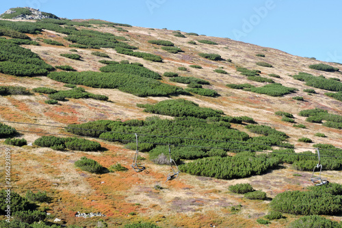 Chairlift over a subalpine zone slope with dwarf pine bushes in September, Tatra Mountains in Poland