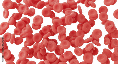 Red blood cells under microscope. Erythrocytes flowing in human body, medical biology view.