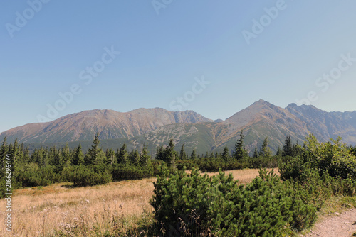Wide panorama of Hala Gąsienicowa valley with Kościelec and Świnica peaks, Tatra Mountains in Poland