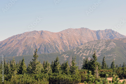 Foto Subalpine zone forest and mountain slopes of Kopa Magury, Tatra Mountains in Pol