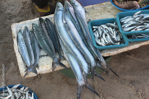 display of fresh catch at a fish market, featuring slender needlefish (Hemiramphus or Strongylura species) laid out over styrofoam container alongside small schooling fish in plastic baskets.