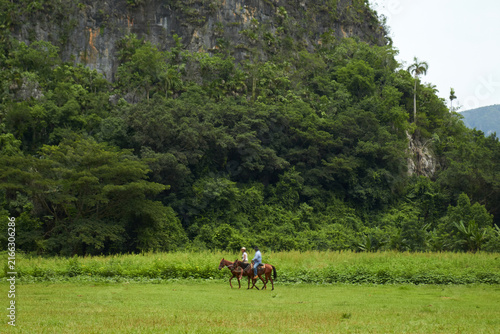 Obraz na plátně People Horseback Riding in Green Field against Mogote Cliff in Viñales Valley, C