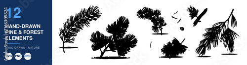 Pine Forest Elements, Hand-Drawn Illustration Set with Pine Branches and Foliage