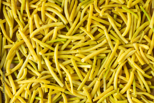 Obraz na plátně Preparing green beans (Golden Teepee variety) for freezing
