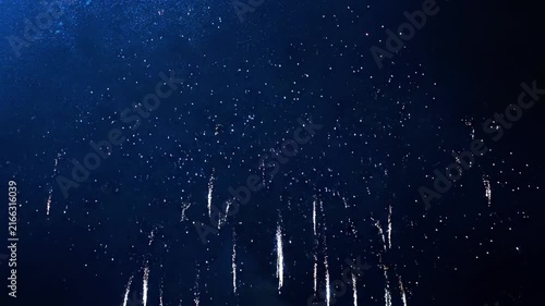 Multi-colored fireworks exploding in night sky