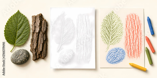 Frottage nature texture process illustration