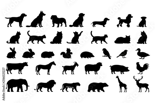 Detailed animal silhouette collection featuring various wild and domestic creatures