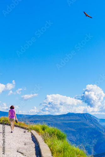 Tourist with camera observe vulture bird in flight, canyon Gorges du Verdon, Provence in France