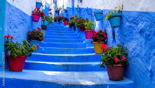 Blue painted steps adorned with colorful flower pots in the historic town of chefchaouen morocco blue stairs