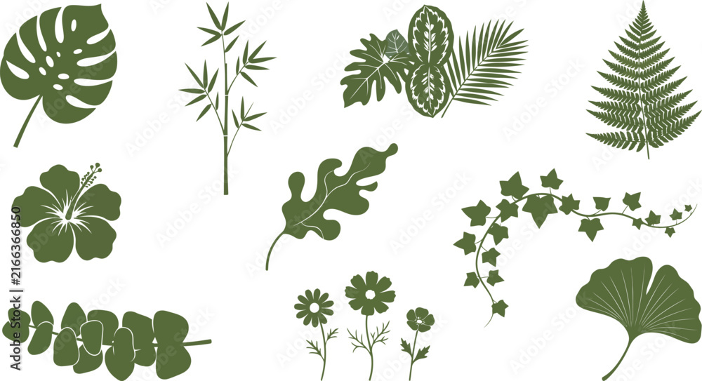 Obraz premium A curated collection of detailed botanical illustrations showcasing a variety of lush tropical leaves and vibrant foliage in a simple minimalist line art design on